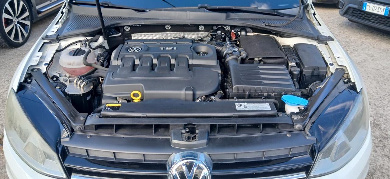 Volkswagen Golf 7° 1.6 TDI 110 CV Highline - 2016