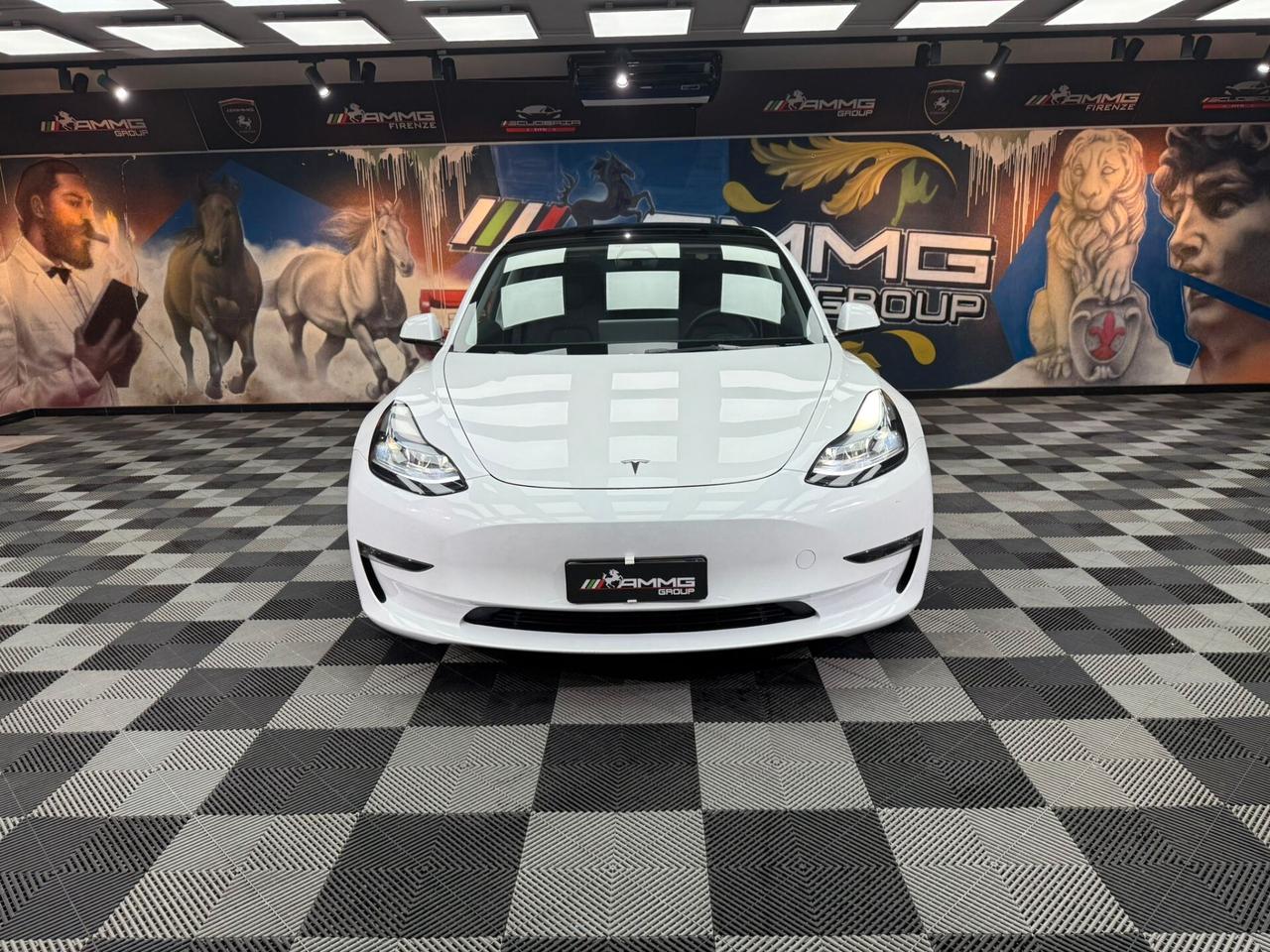 Tesla Model 3 Long Range AWD Performance (097)