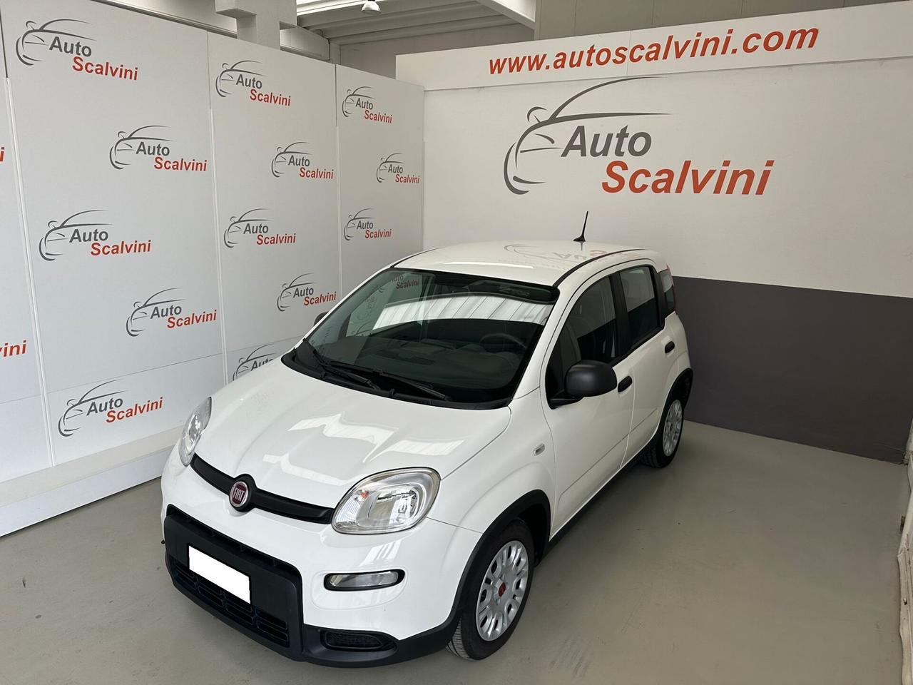 Fiat Panda 1.0 FireFly S&S Hybrid City Life