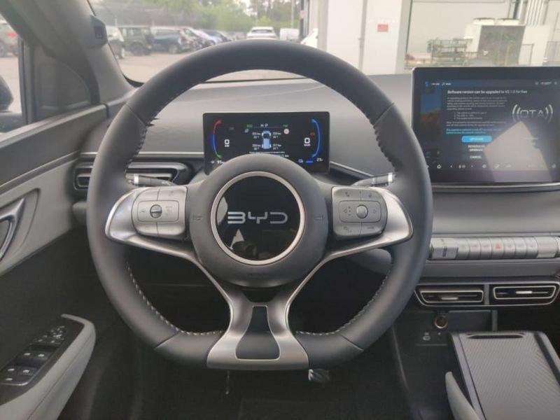 BYD Dolphin Surf Boost