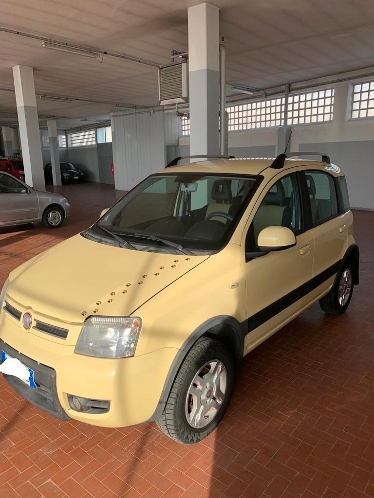 Fiat Panda 1.3 MJT 16V DPF 4x4 Climbing