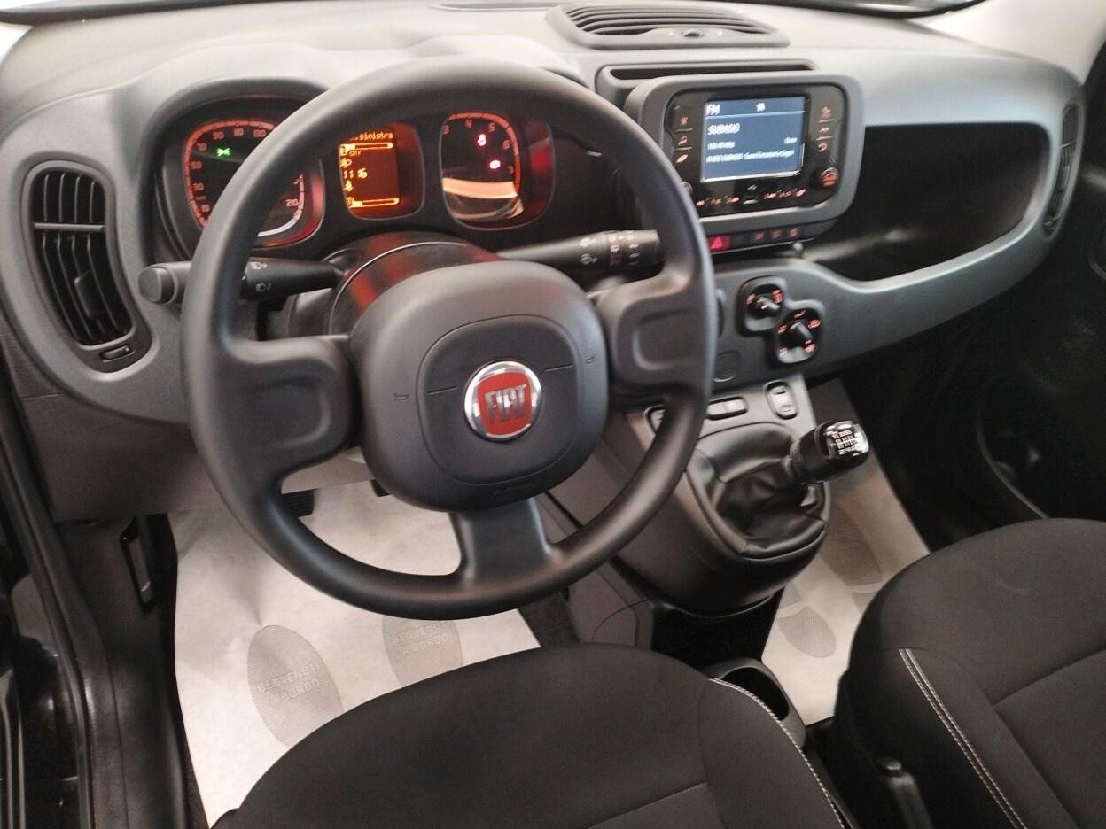 FIAT Panda 3ª serie Panda 1.0 FireFly S&S Hybrid