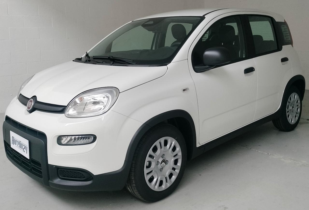 Fiat Panda PANDINA 1.0 FireFly S&S Hybrid NEOPATENTATO