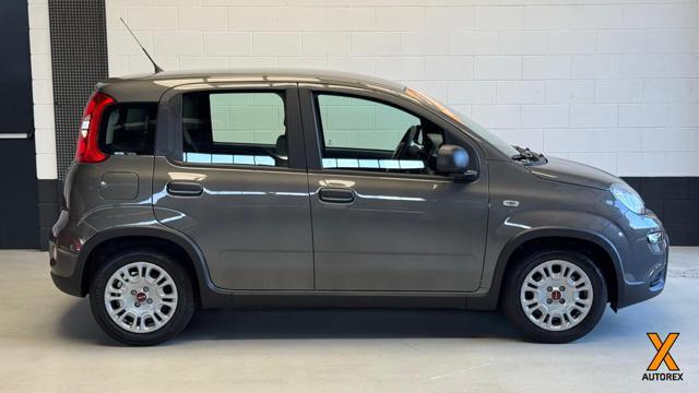 FIAT Panda 1.0 FireFly S&S Hybrid per neopatentati