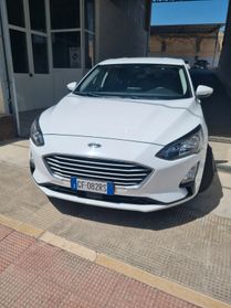 Ford Focus 1.5 EcoBlue 95 CV 5p. Business