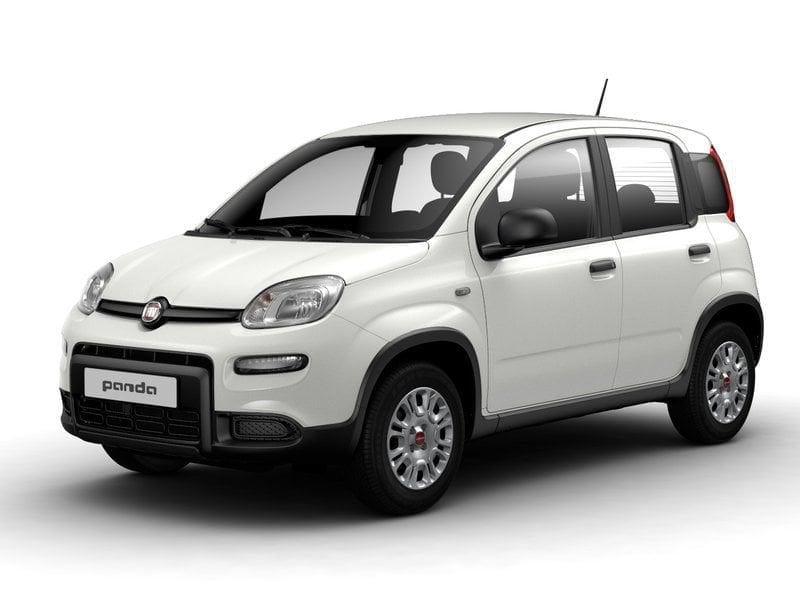 FIAT Panda NEW 1.0 70cv Hybrid Pandina