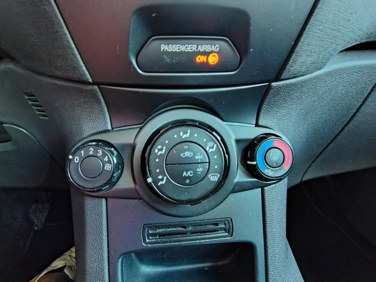 Ford Fiesta 1.5 TDCi 75CV 3 porte Black & White Edition