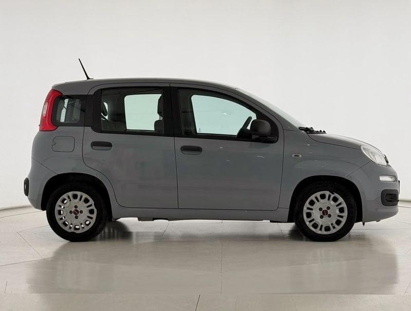 FIAT Panda 1.0 FireFly S&S Hybrid Easy