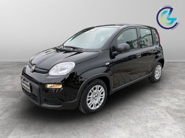 FIAT Panda III 2024 - Panda 1.0 firefly hybrid s&s 70cv