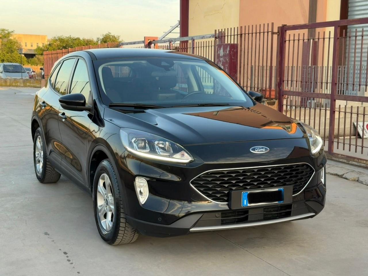 Ford Kuga 1.5 EcoBlue 120 CV aut. 2WD ST-Line X