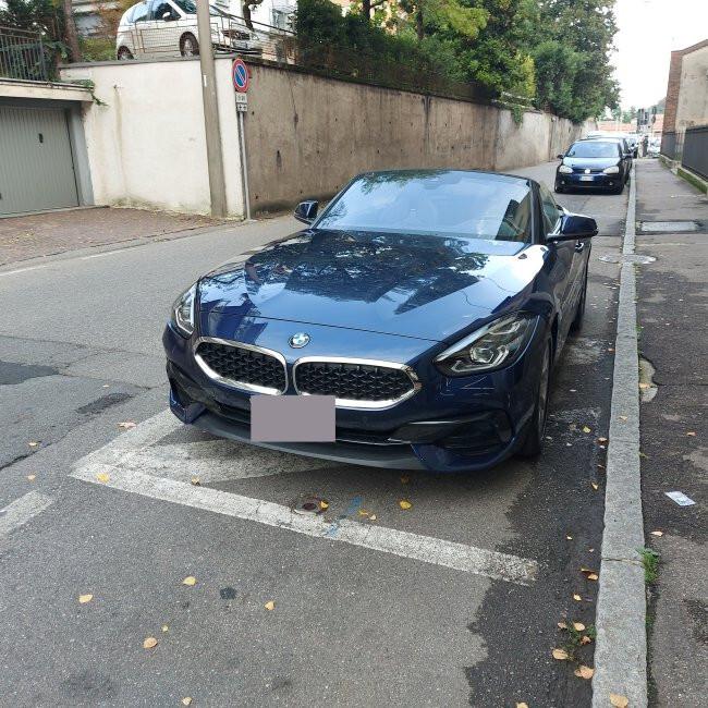Bmw Z4 sDrive20i Advantage