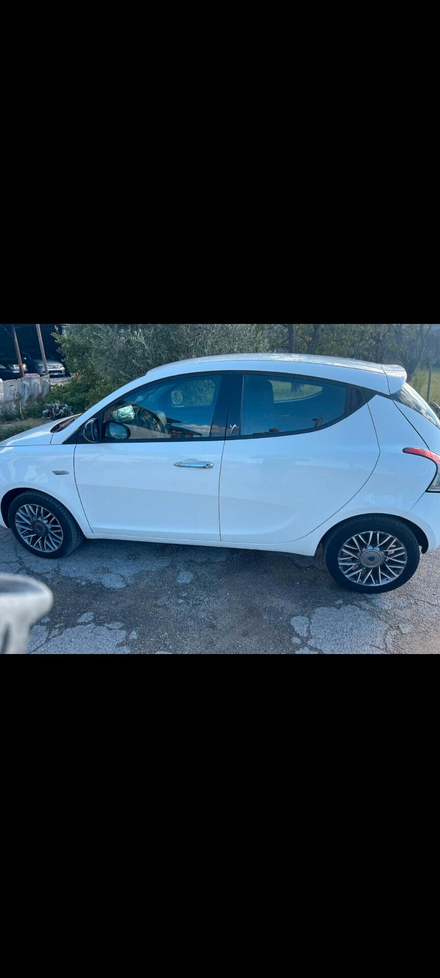 Lancia Ypsilon 1.3 MJT 16V 95 CV 5 porte S&S Platinum