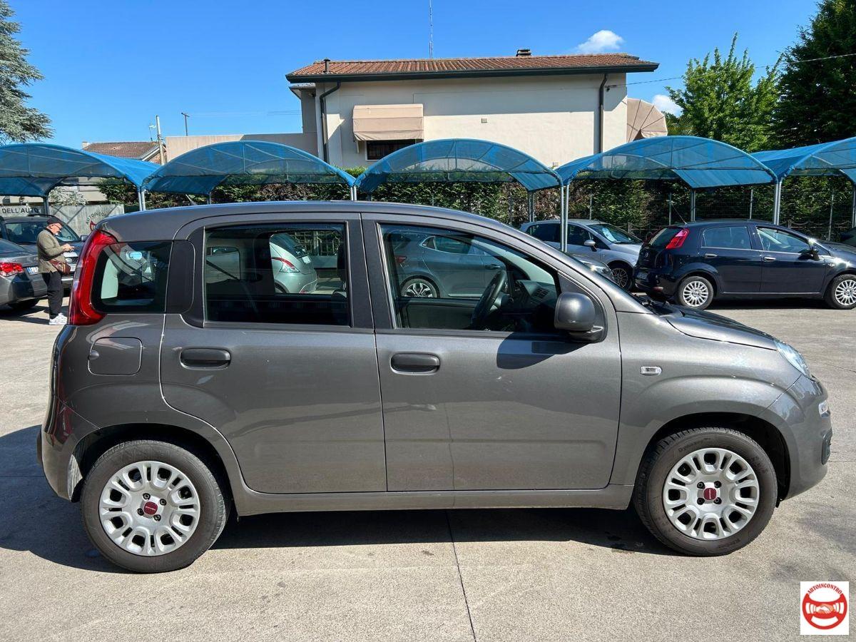 FIAT - Panda 1.2 Easy easypower Gpl 69cv my19