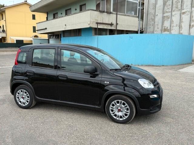 Fiat Panda 1.0 Hybrid neopatentati iva esposta