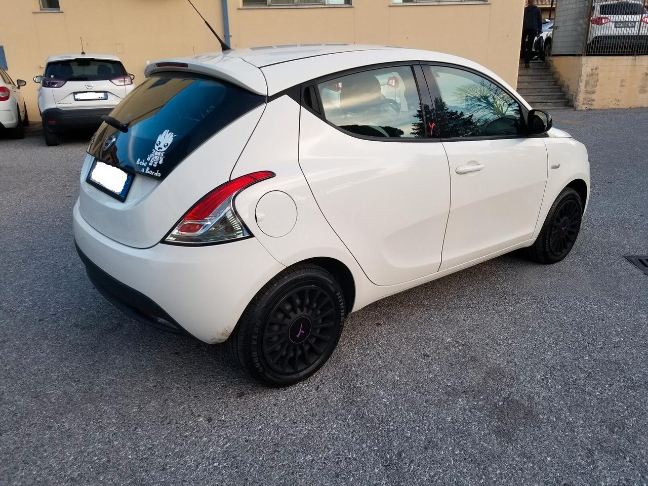 Lancia Ypsilon 1.2 69 CV 5 porte Elle