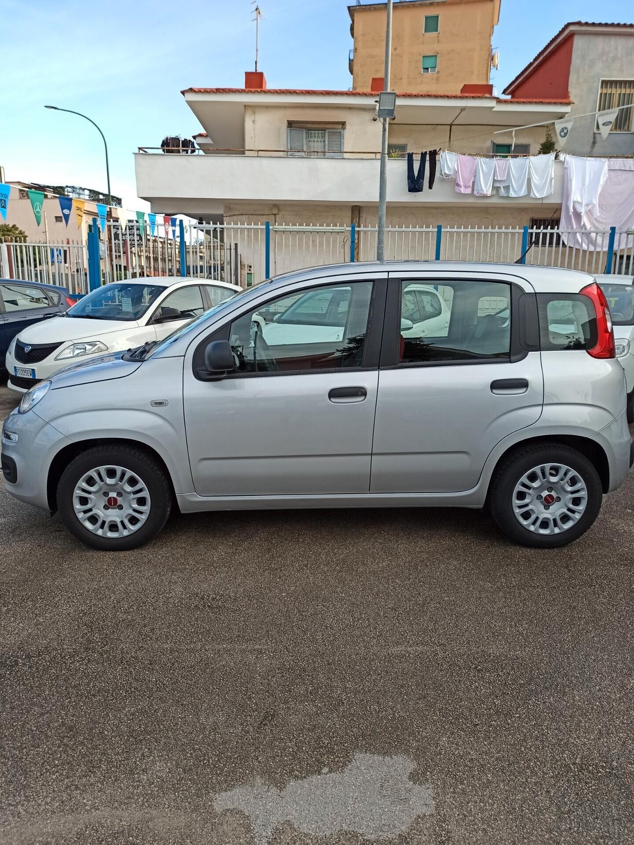 Fiat Panda 1.2 69 cv Easy Km. 21000 pari al nuovo!!!!!