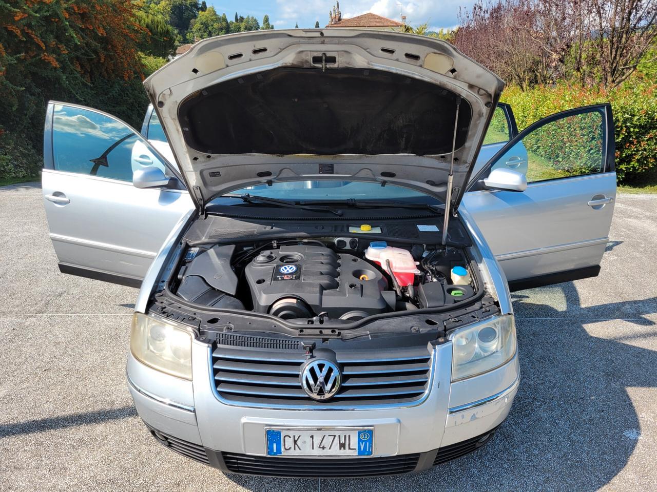 Volkswagen Passat 1.9 TDI/130 CV cat Business