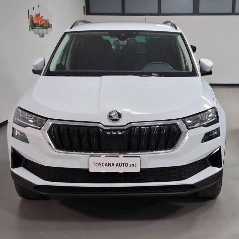 Skoda Karoq 2.0 TDI EVO SCR 115 CV DSG Style