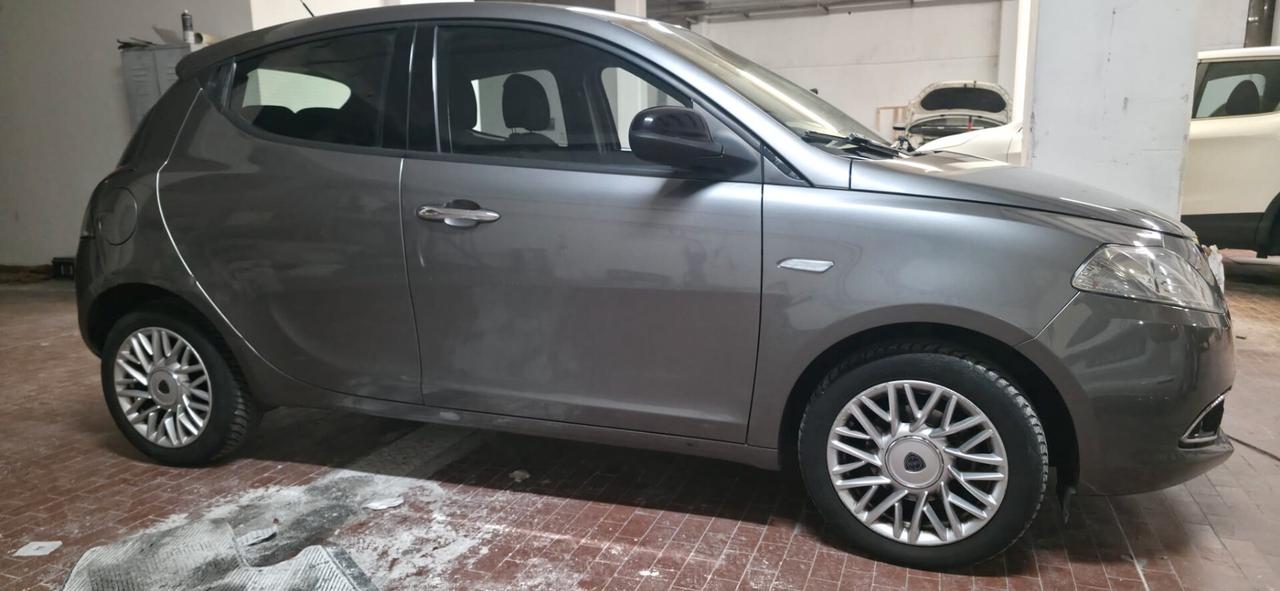 Lancia Ypsilon 1.3 MJT 16V 95 CV 5 porte S&S Platinum