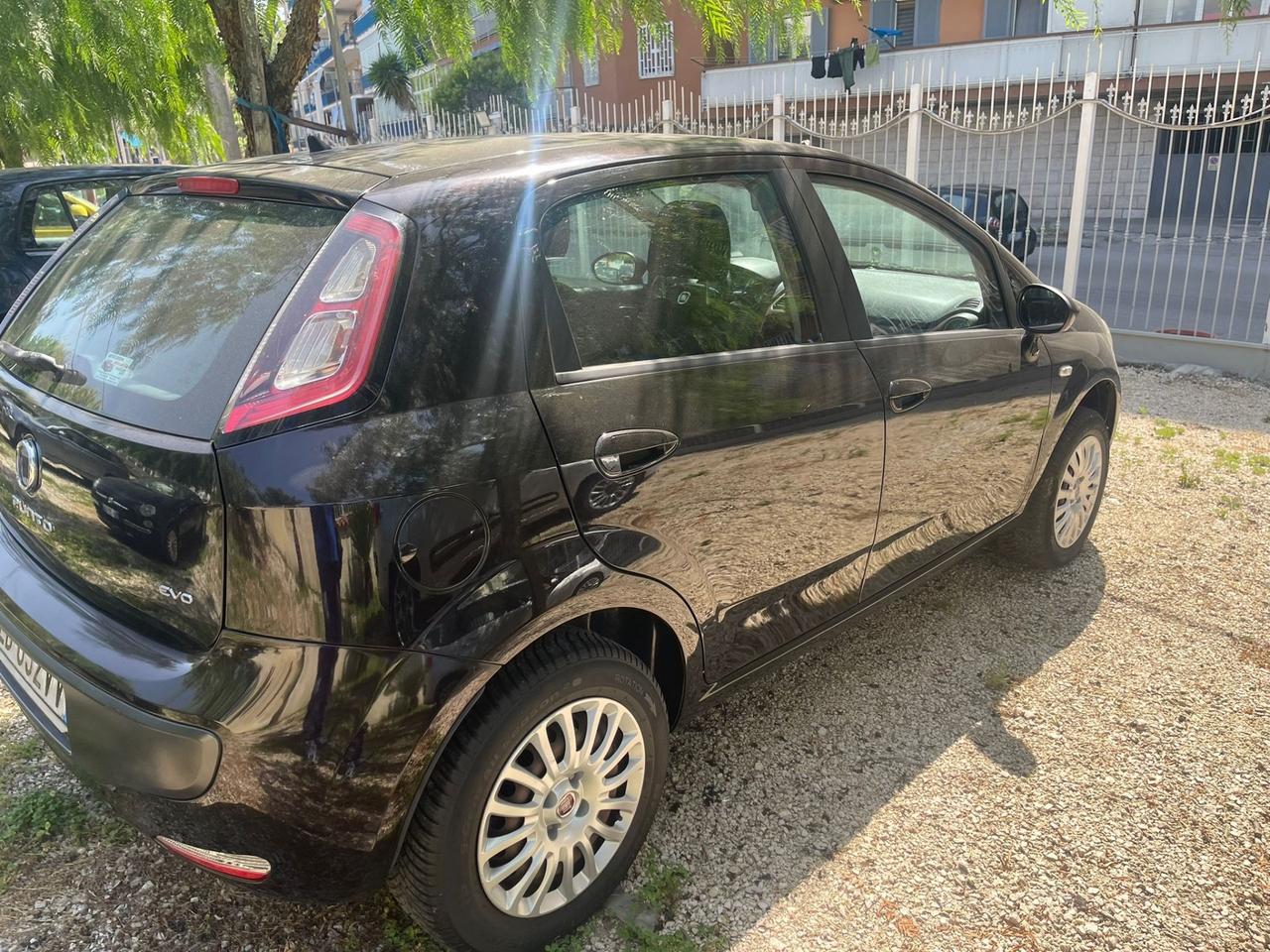 Fiat Punto Evo Punto Evo 1.4 5 porte Active