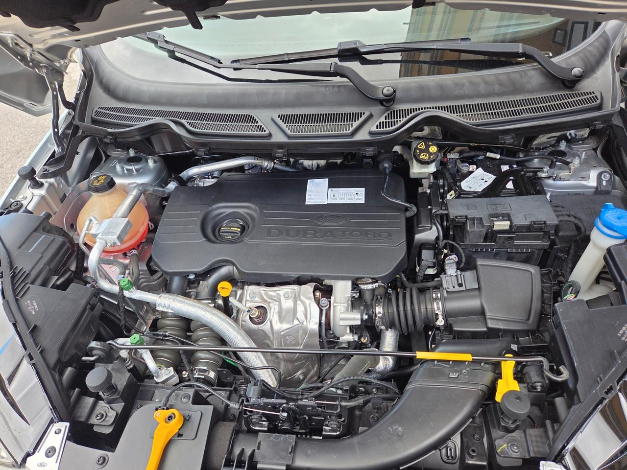 FORD ECOSPORT ANNO 2018 ST-LINE 1.5 TDCI 100 CV KM CERTIFICATI