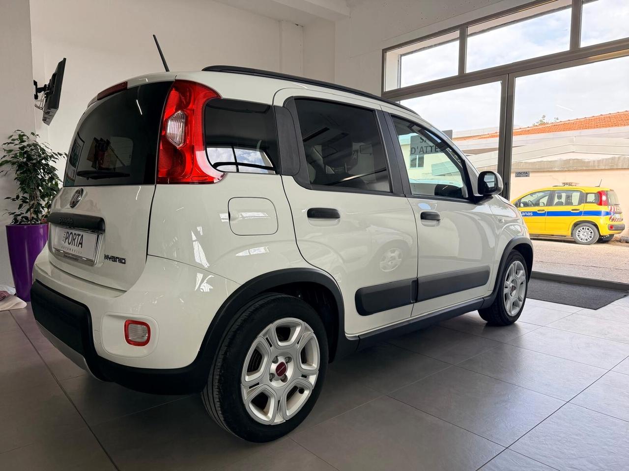 FIAT PANDA 1.0 FireFly 70cv S&S Hybrid City Life