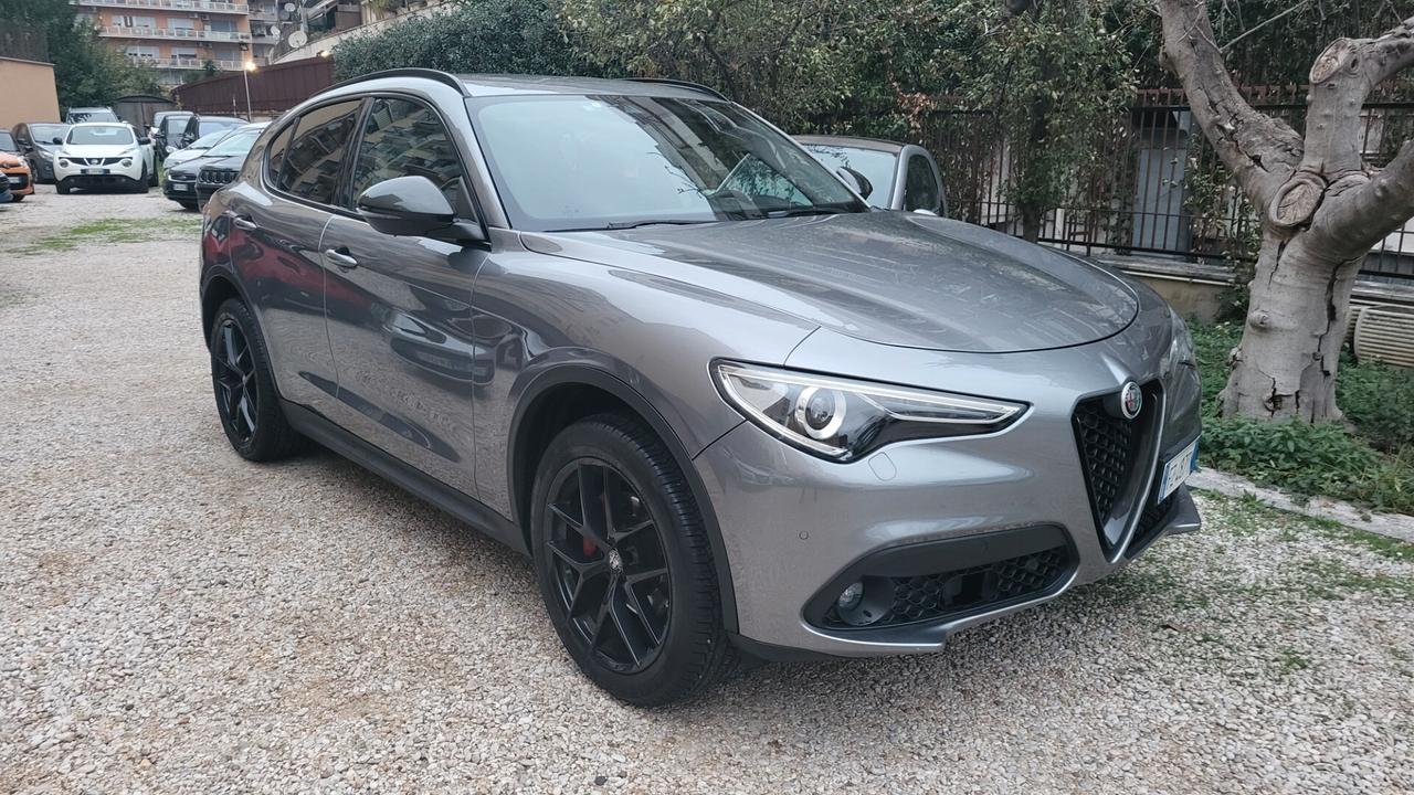 Alfa Romeo Stelvio 2.2 Turbodiesel 190 CV AT8 Q4 Business