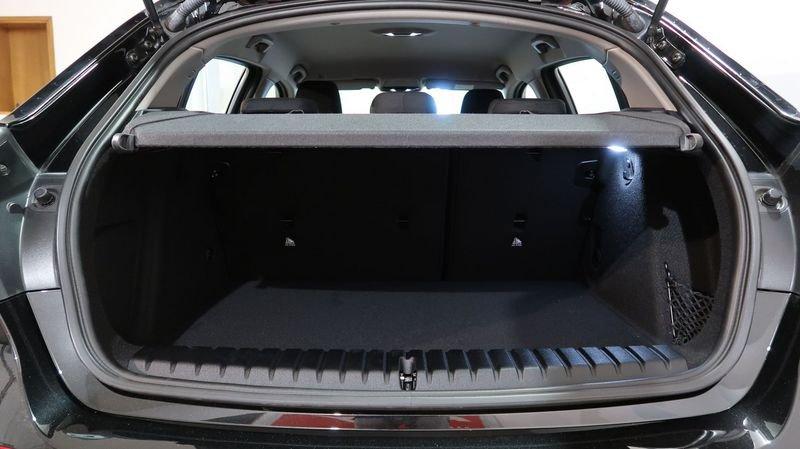 BMW 116 116d Business Advantage Cambio automatico