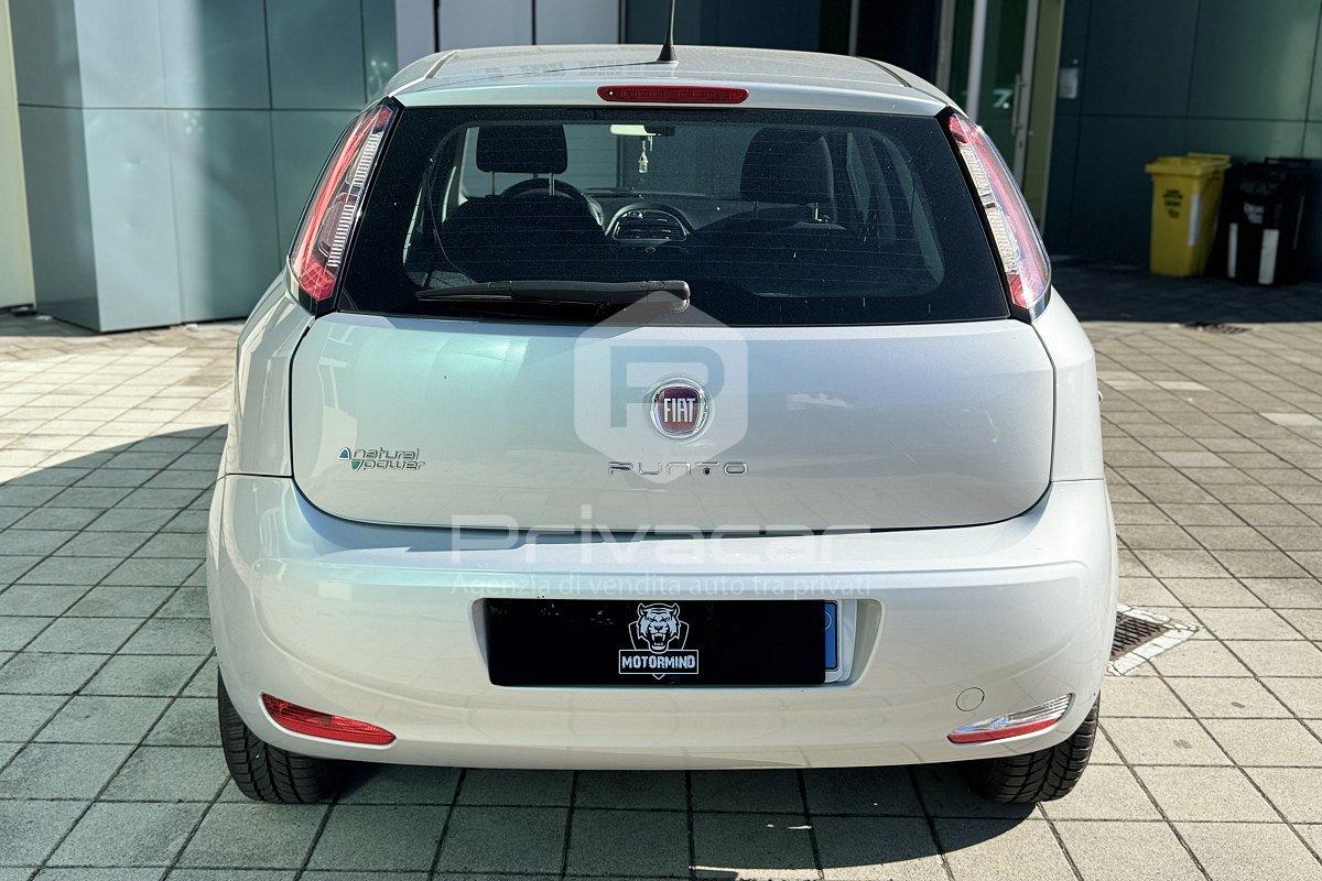 FIAT Punto 1.4 8V 5 porte Natural Power Young