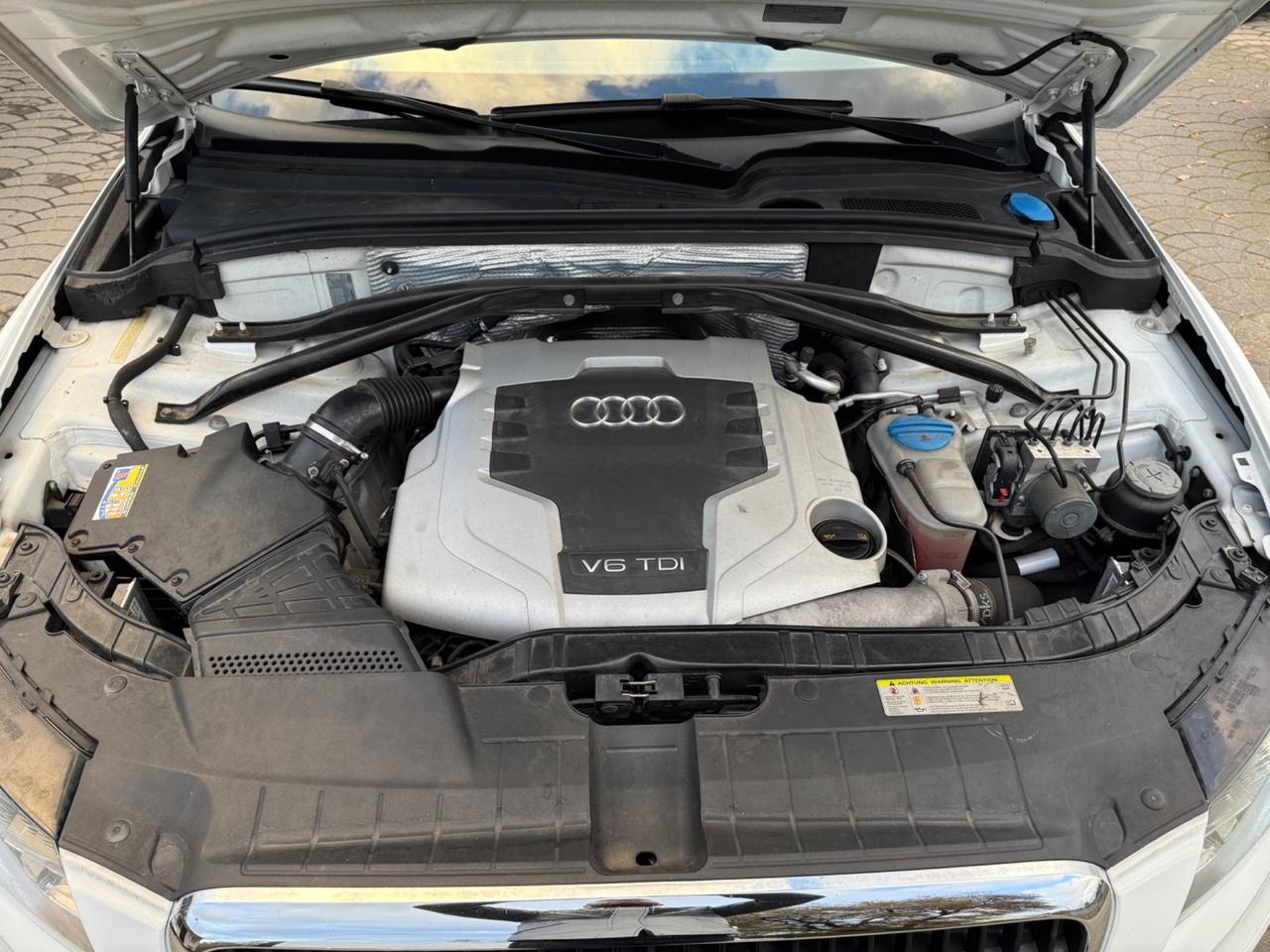 Audi Q5 3.0 V6 TDI S-Line con tetto apribile