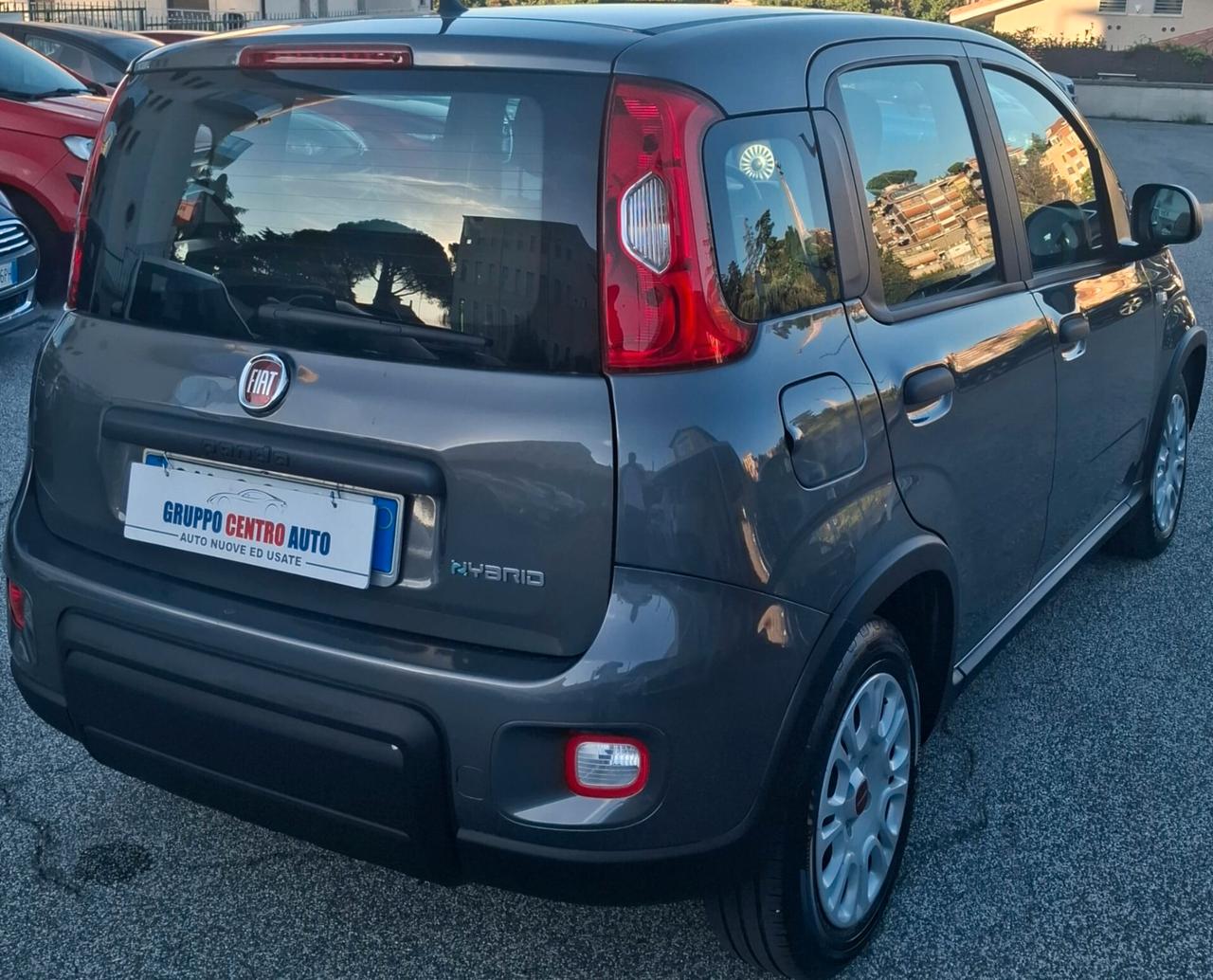 Fiat Panda 1.0 FireFly S&S Hybrid - 2023