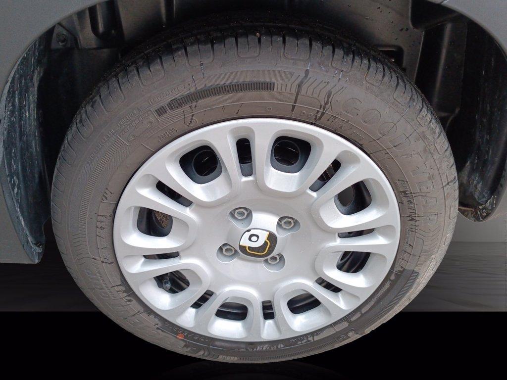 FIAT Panda 1.0 firefly hybrid s&s 70cv del 2024