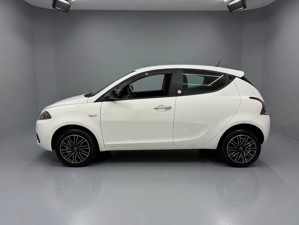 Lancia Ypsilon 0.9 TwinAir Ecochic Gold 2019