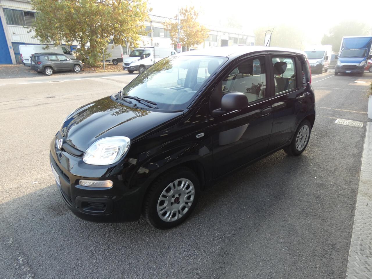 FIAT Panda 3ª serie Panda 1.2 Easy