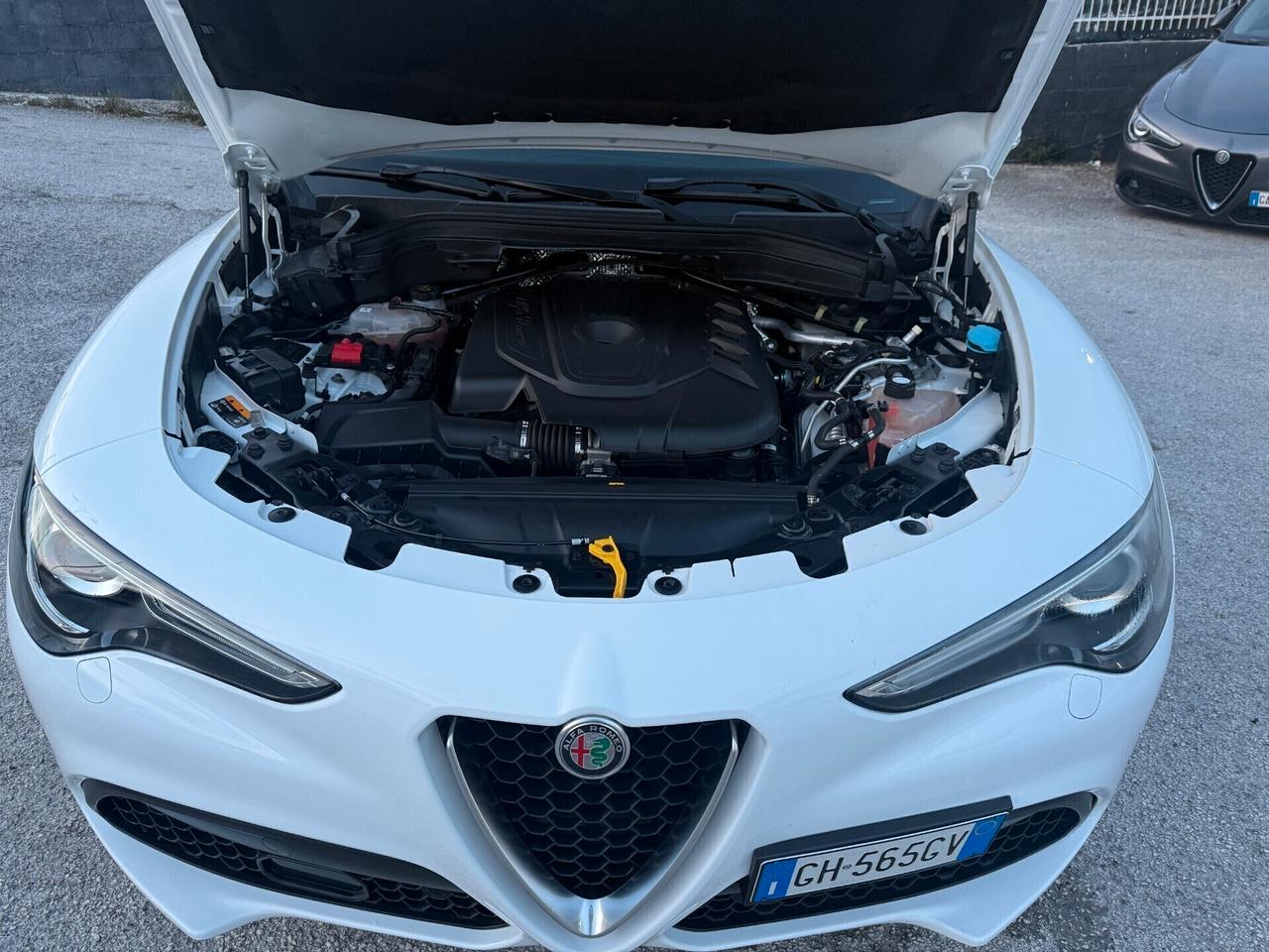 Alfa Romeo Stelvio 2.2 Turbodiesel 160 CV AT8 RWD ROSSO EDIZIONE