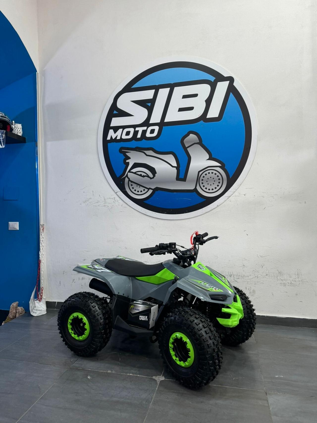 LEM QUAD GRIZZLY 110