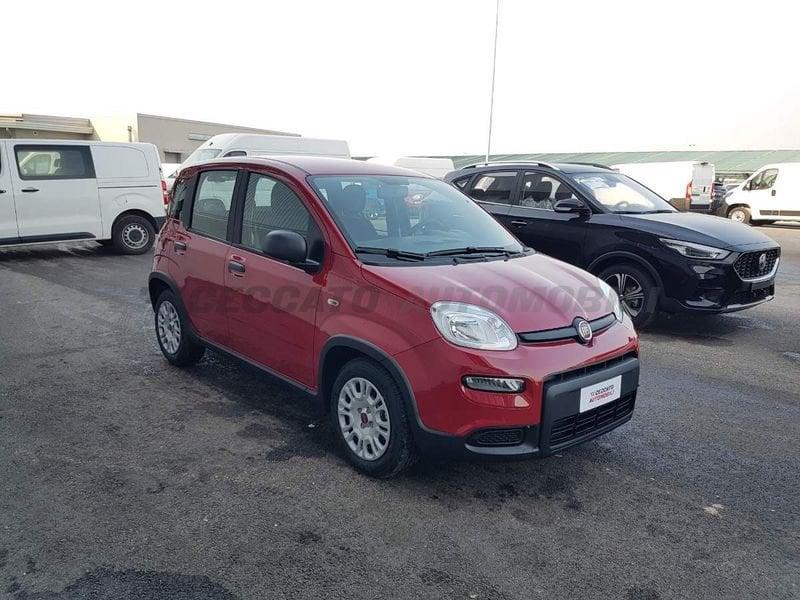 FIAT Panda My24 1.0 Hybrid 70cv