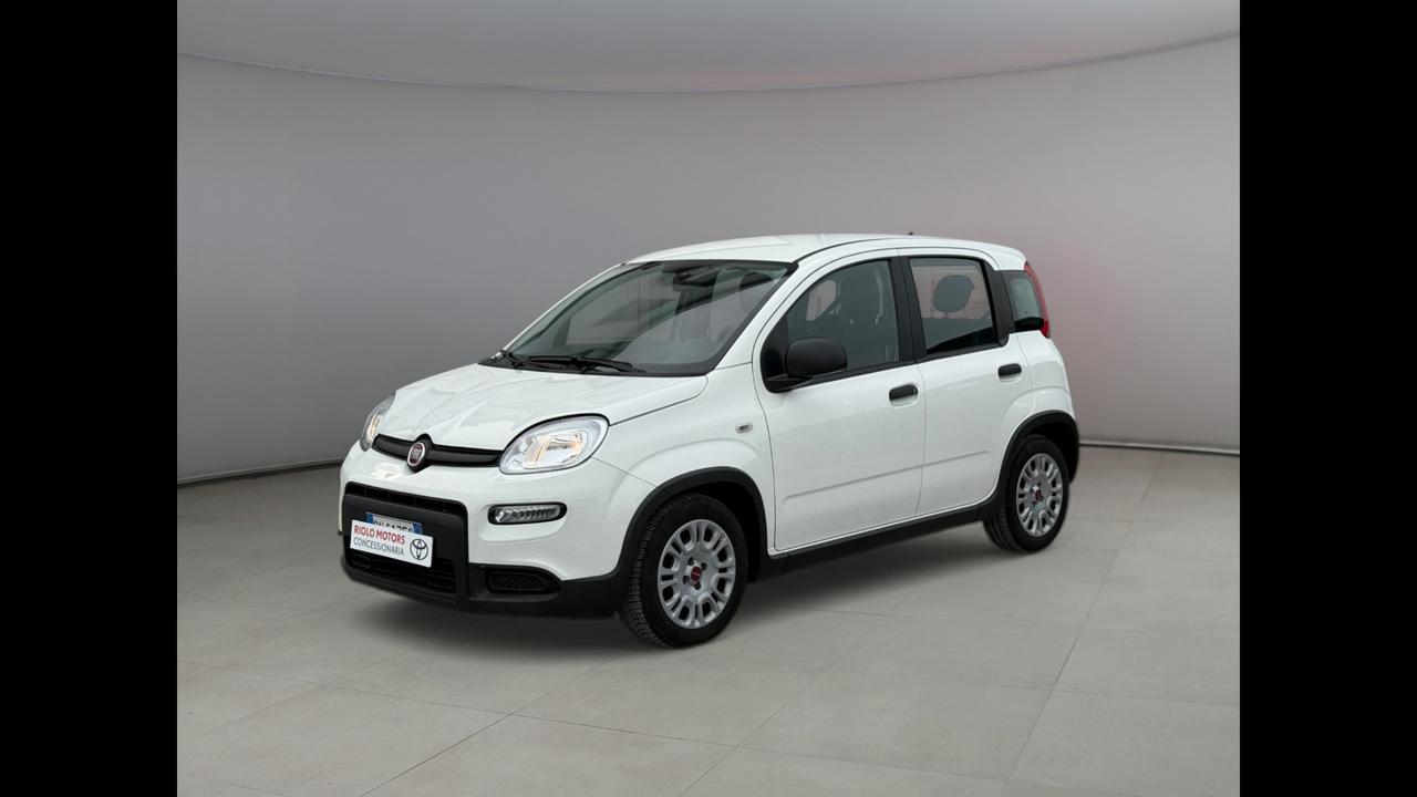 FIAT Panda III 2021 - Panda 1.0 firefly hybrid s&s 70cv 5p.ti