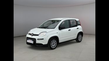 FIAT Panda III 2021 - Panda 1.0 firefly hybrid s&s 70cv 5p.ti