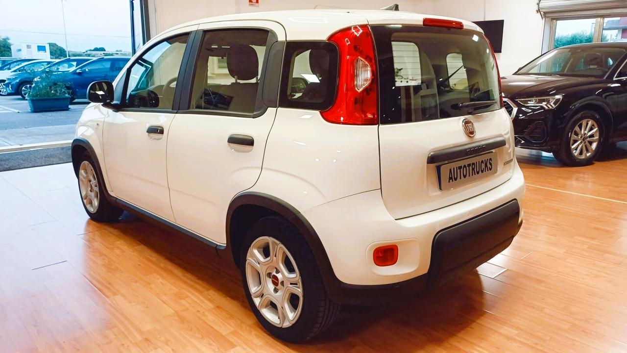 Fiat Panda 1.0 FireFly S&S Hybrid