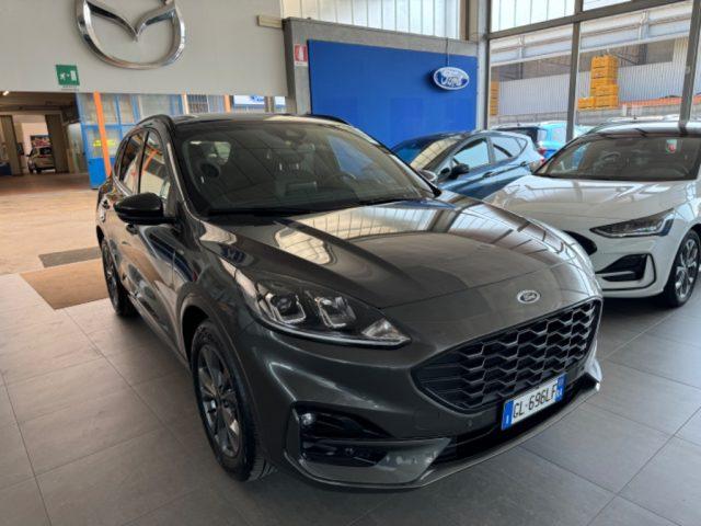 FORD Kuga 1.5 EcoBlue 120 CV AUT 2WD ST-Line