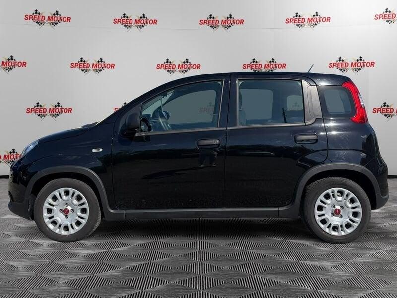 FIAT Panda Panda 1.0 firefly hybrid 70cv, CARPLAY, PRONTA CONSEGNA!