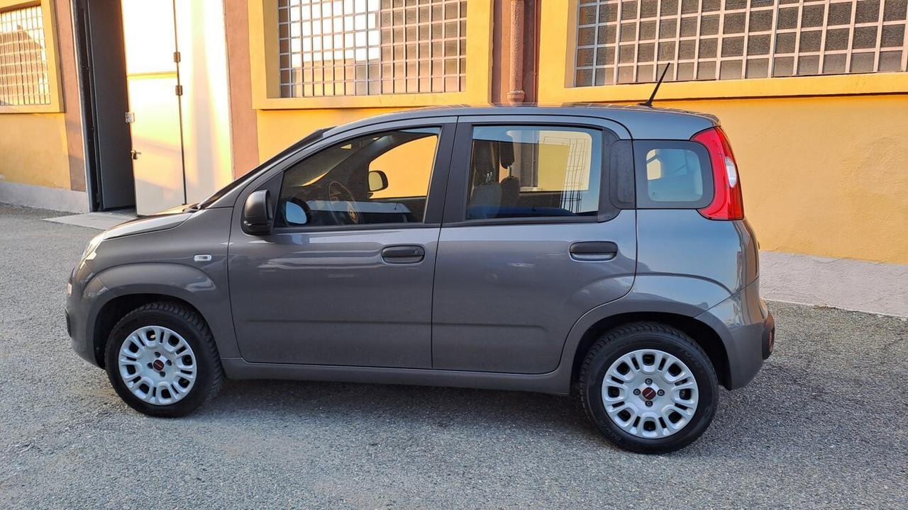 Fiat Panda 1.2 69 CV Easy - KM. 41.000 - AUTO PER NEOPATENTATI