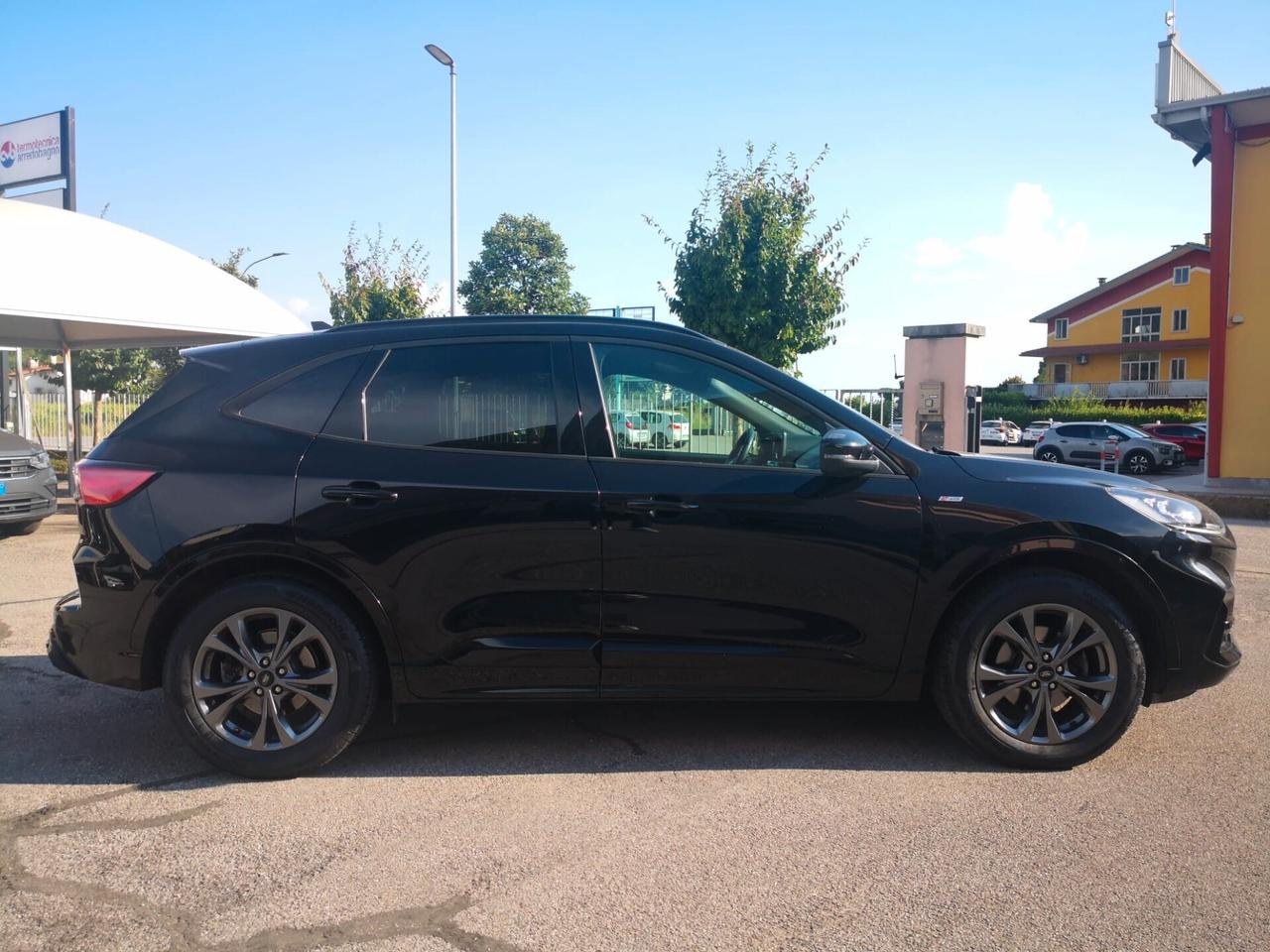 Ford Kuga 2.0 EcoBlue 150 CV aut. AWD ST-Line