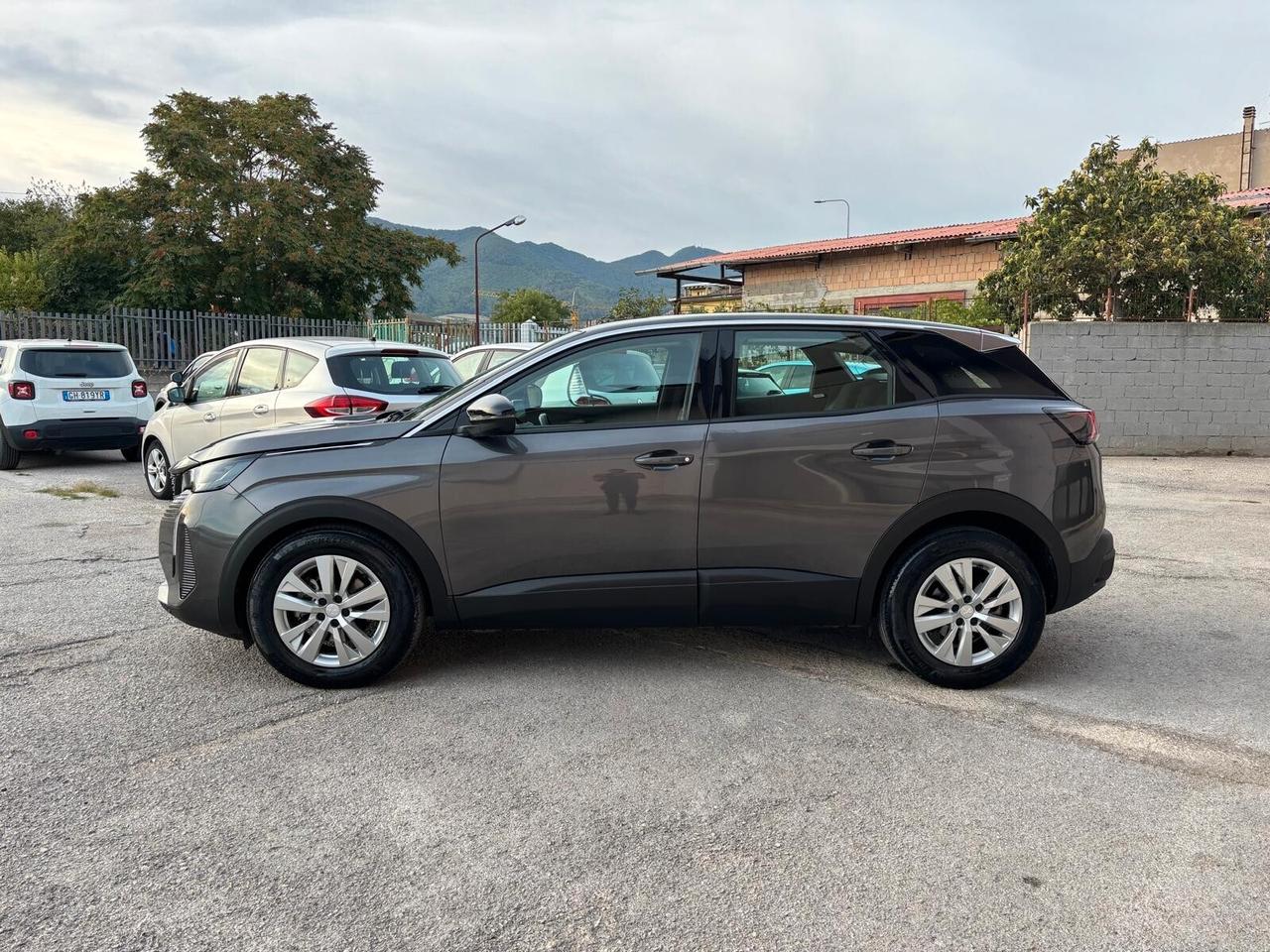 Peugeot 3008 BlueHDi 130 S&S Active Pack 04/2022