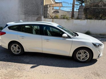 Ford Focus 1.5 EcoBlue 120 CV automatico SW Business Co-Pilot