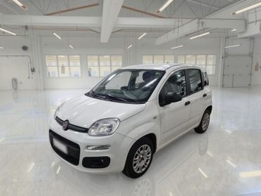 FIAT PANDA 1.2 69 CV SES E6D-TEMP EASY 5 PORTE BERLINA