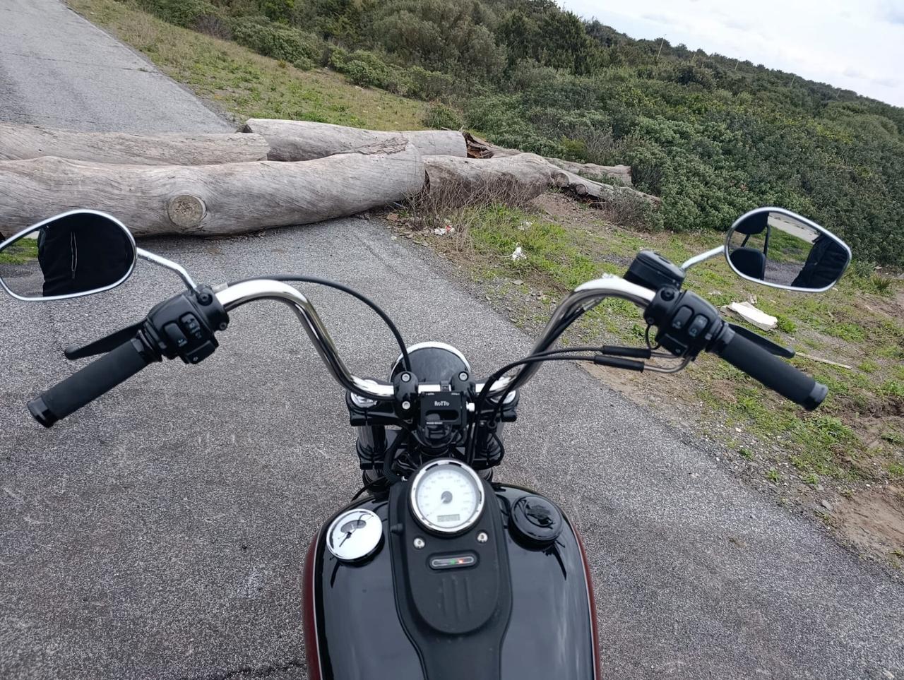 Harley-davidson Dyna Street Bob