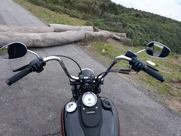 Harley-davidson Dyna Street Bob