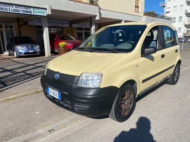 Fiat Panda 1100 i.e. cat College